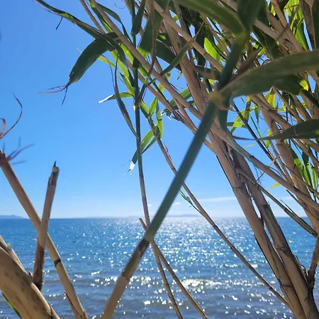 Mobil-home A 200 M Des Plages キャンプ場