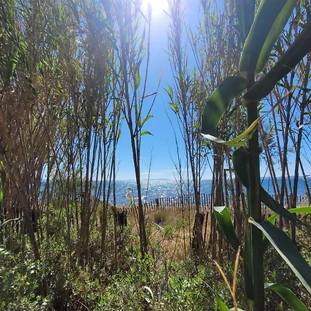 キャンプ場 Mobil-home A 200 M Des Plages