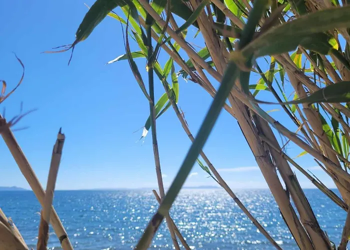 Mobil-home A 200 M Des Plages Camping